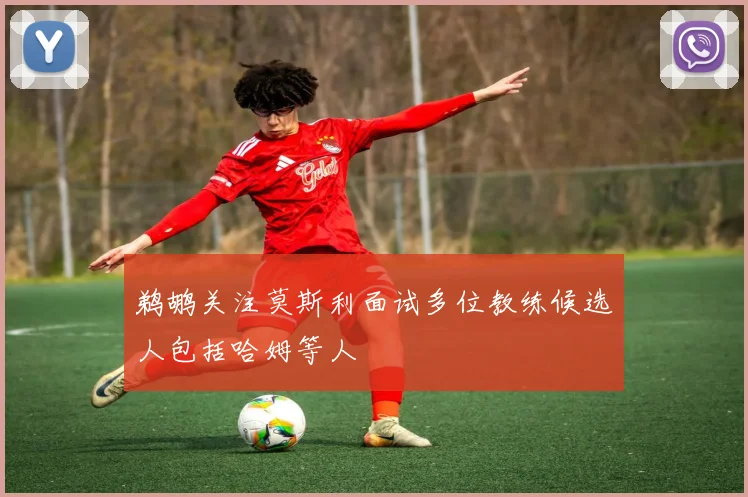 鹈鹕关注莫斯利面试多位教练候选人包括哈姆等人