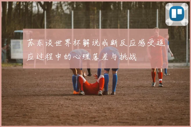 苏东谈世界杯解说戒断反应感受适应过程中的心理落差与挑战